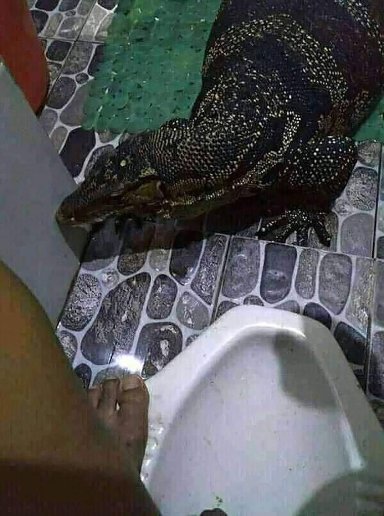 Gewoon een verzameling hilarische foto’s #1284