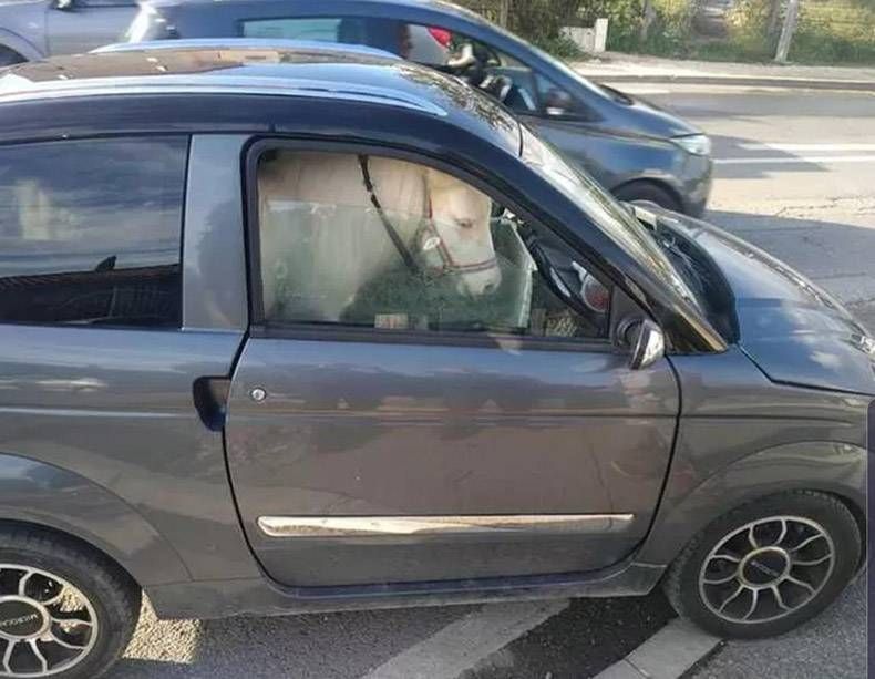 Gewoon een verzameling hilarische foto's #1240