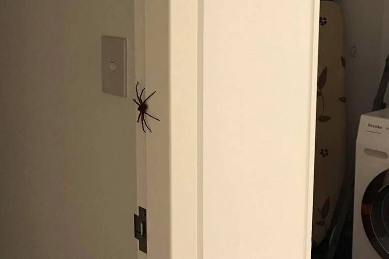 Gewoon een verzameling hilarische foto's #1212