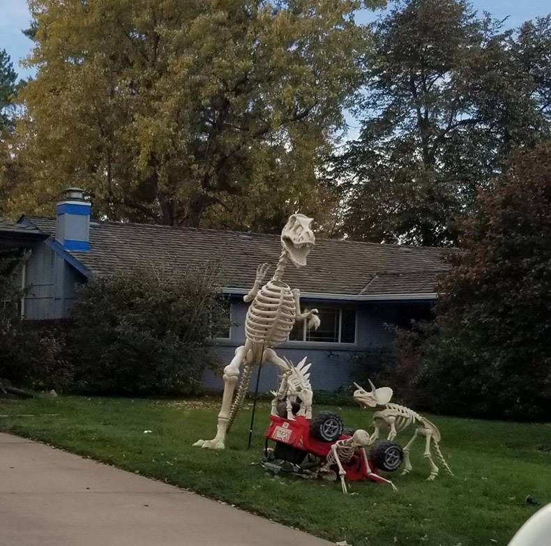 Gewoon een verzameling hilarische foto's #1194