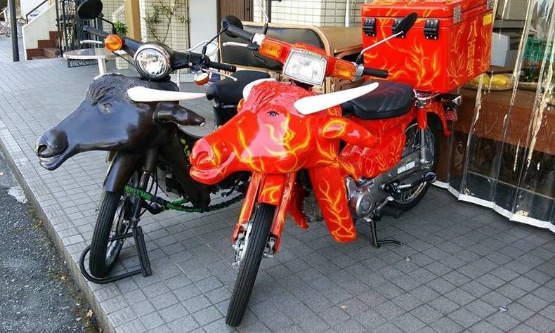 Gewoon een verzameling hilarische foto’s #921