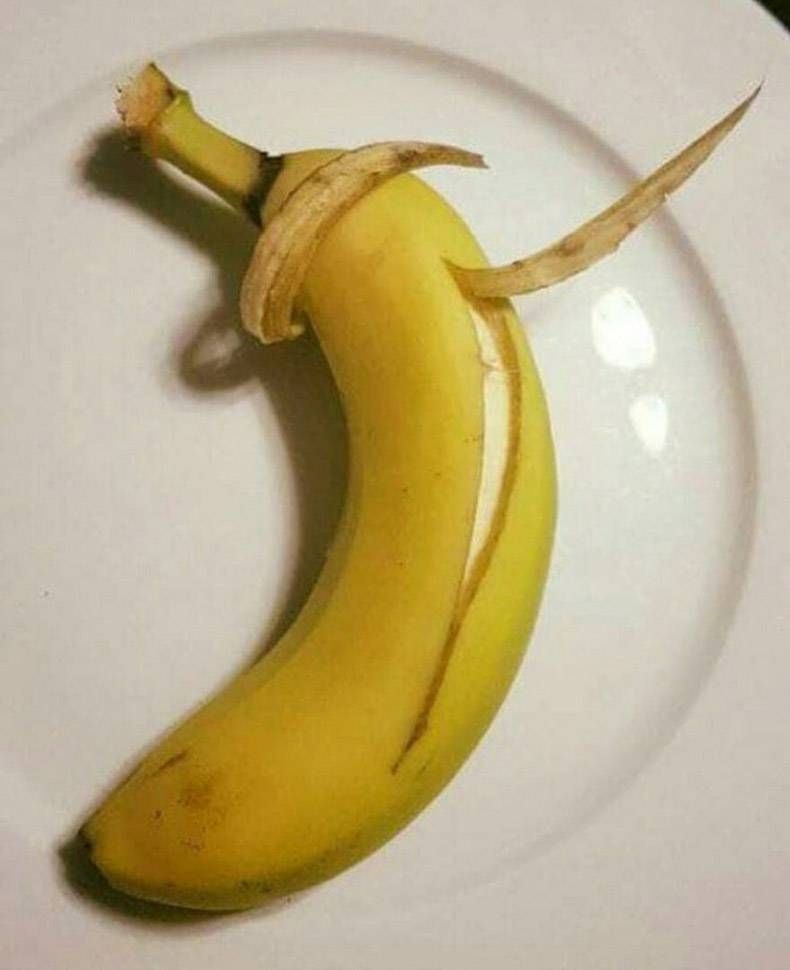 Gewoon een verzameling hilarische foto's #833