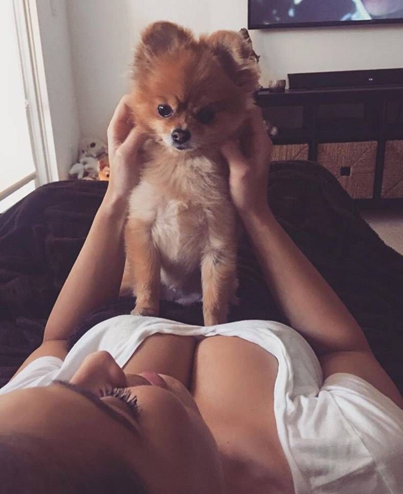 Gewoon een verzameling hilarische foto's #829