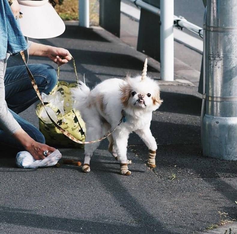 Gewoon een verzameling hilarische foto's #828