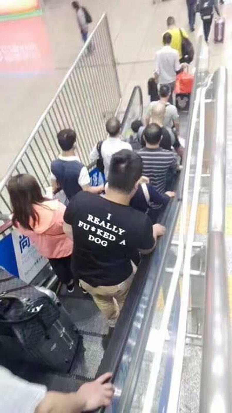 Gewoon een verzameling hilarische foto's #806