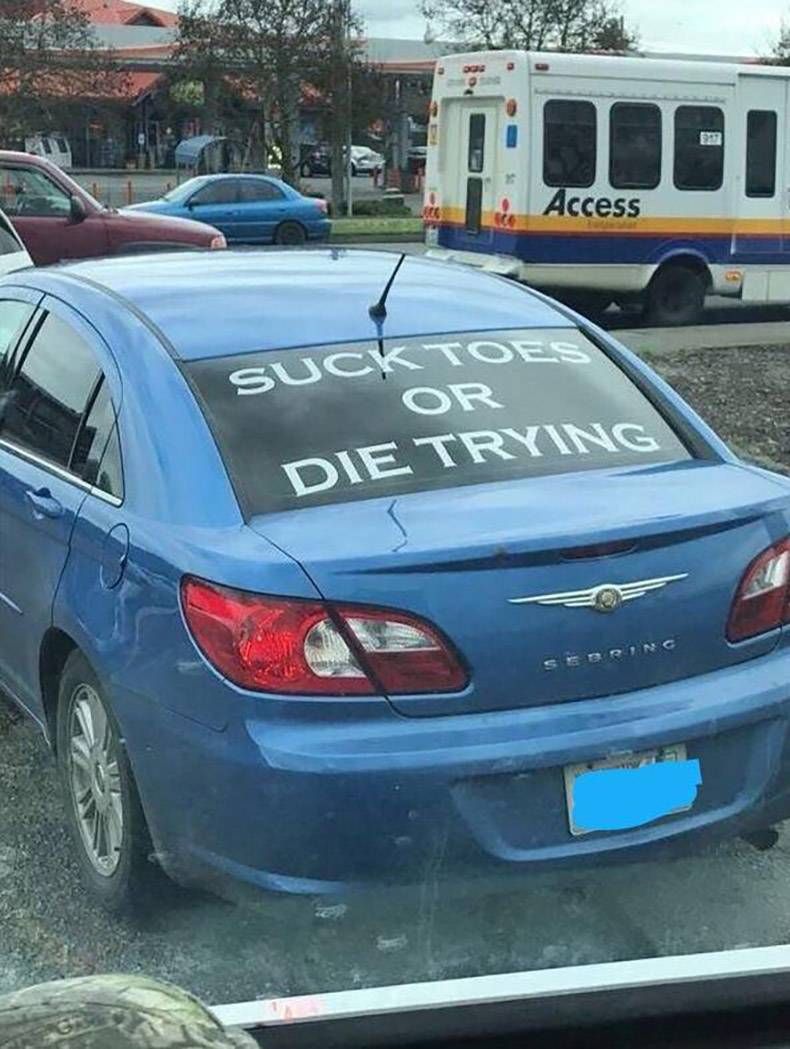 Gewoon een verzameling hilarische foto's #803