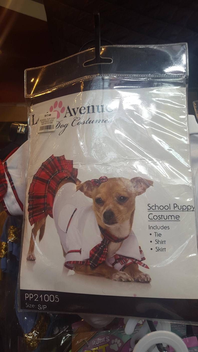 Gewoon een verzameling hilarische foto's #721