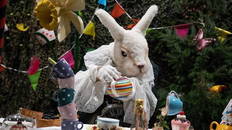 Heroes Dutch Comic Con 2019 in beeld