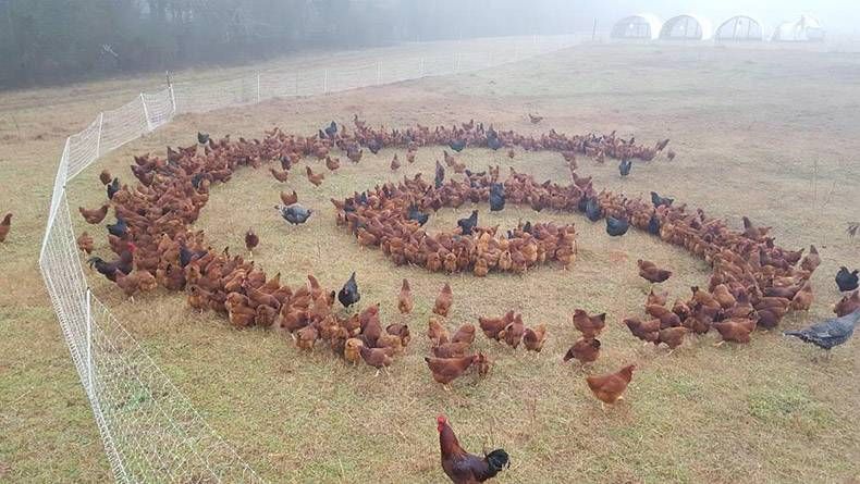 Gewoon een verzameling hilarische foto's #1247