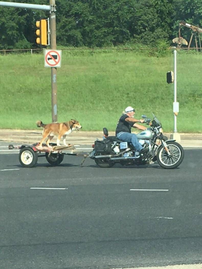 Gewoon een verzameling hilarische foto's #1152