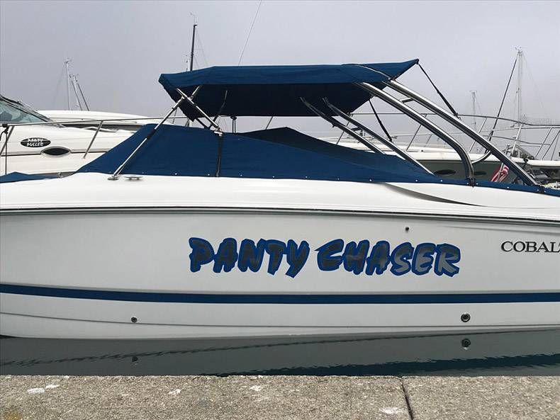 Gewoon een verzameling hilarische foto's #1142