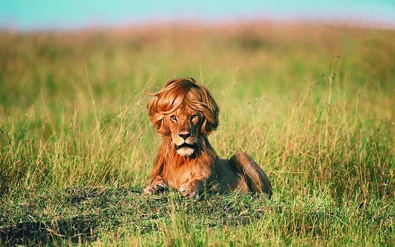 Pix Dump #1000 Special: Gewoon een verzameling foto's van dieren