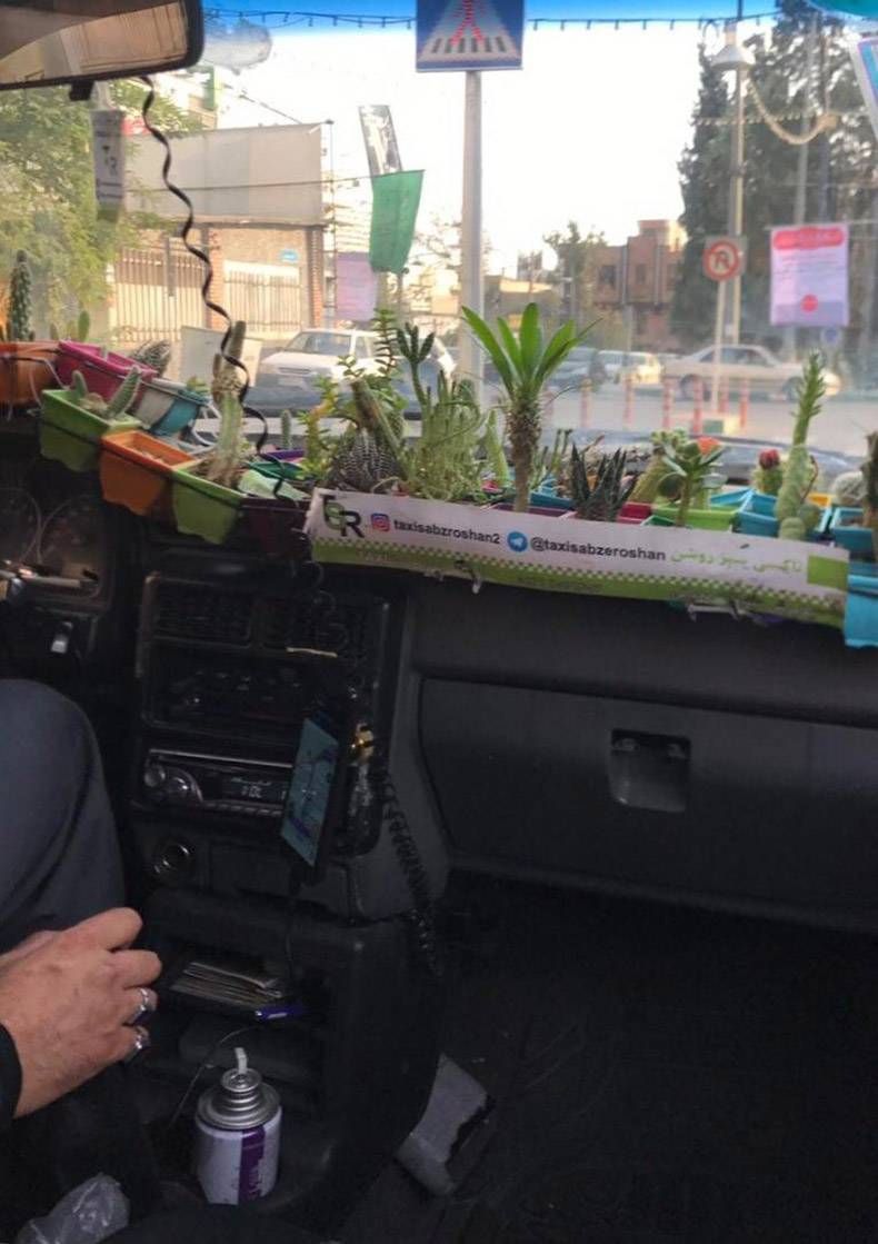 Gewoon een verzameling hilarische foto's #871