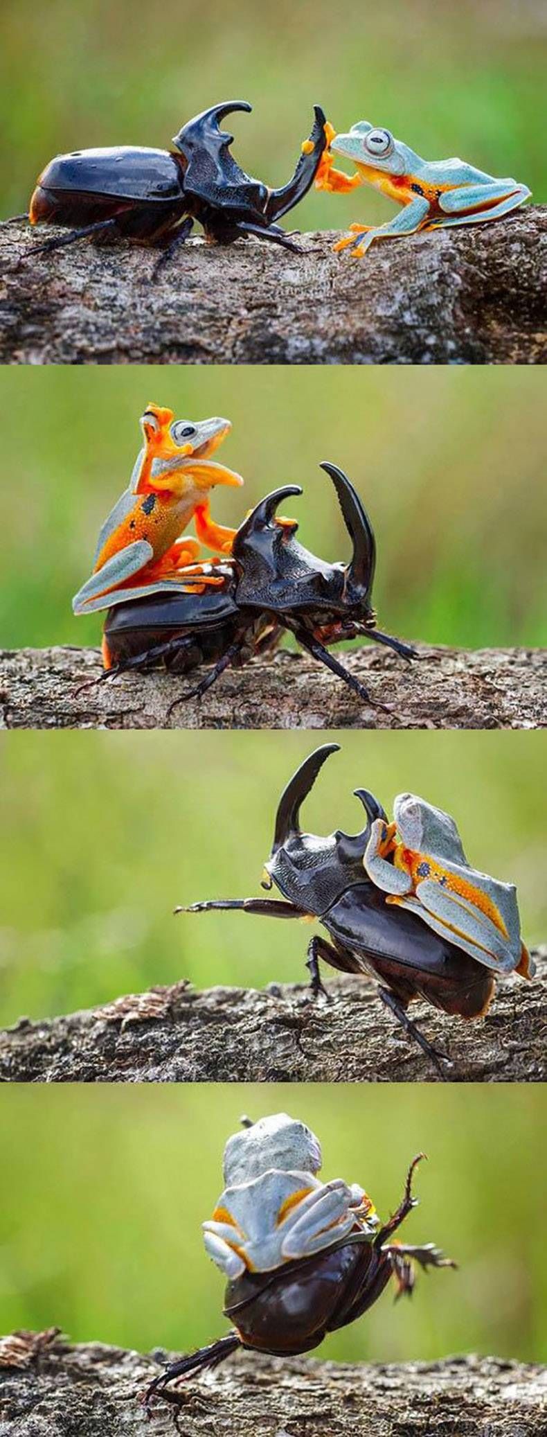 Gewoon een verzameling hilarische foto’s #858