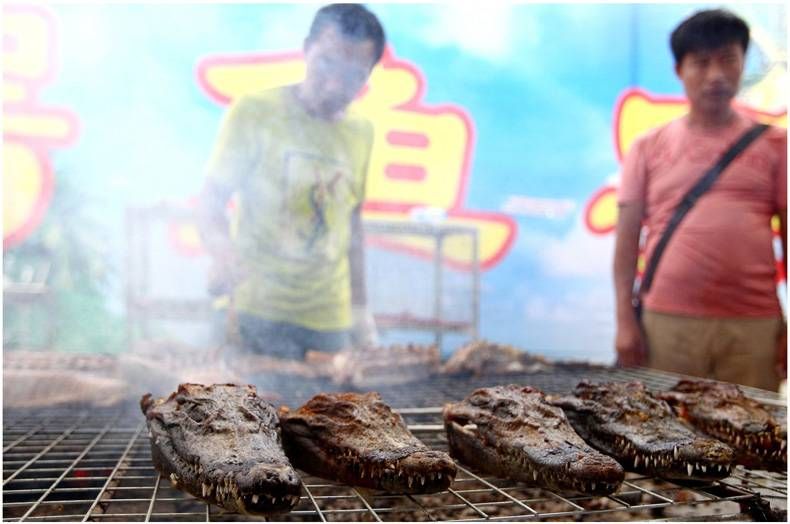 Gewoon een verzameling hilarische foto's #730