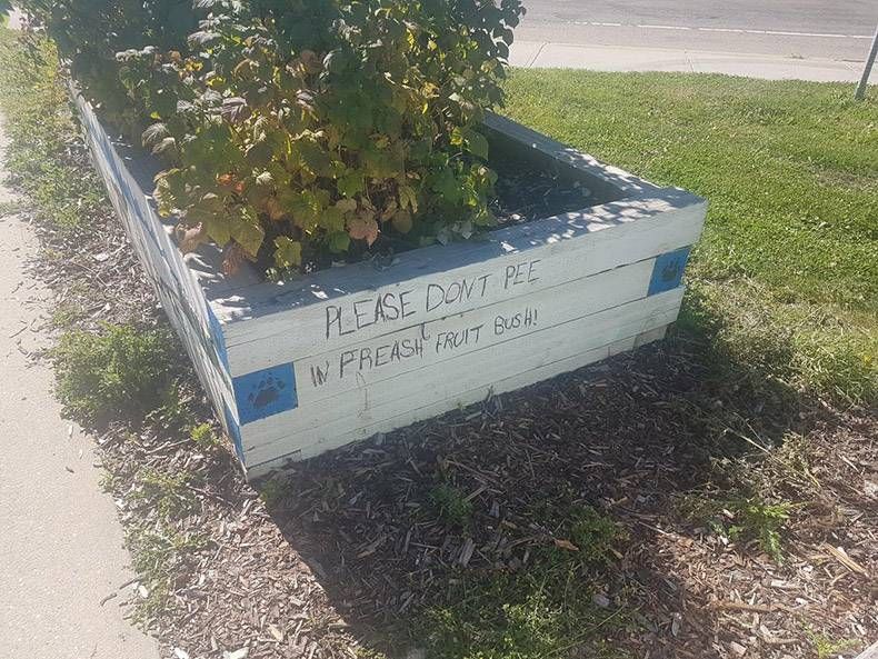 Gewoon een verzameling hilarische foto’s #1336