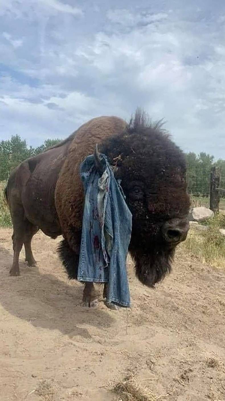 Gewoon een verzameling hilarische foto’s #1326