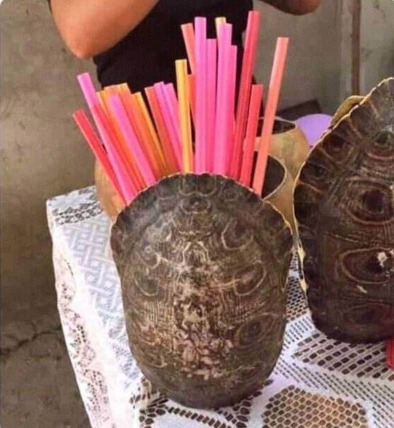 Gewoon een verzameling hilarische foto's #1168