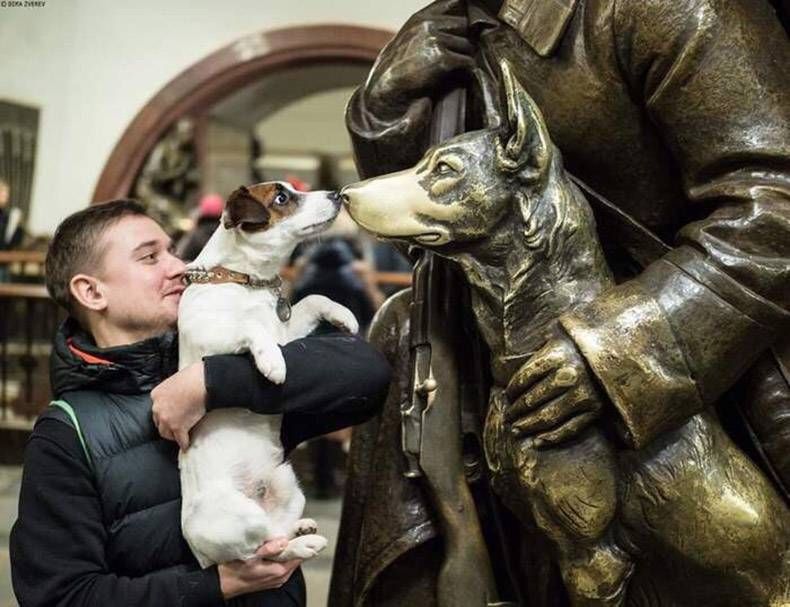 Gewoon een verzameling hilarische foto's #1077