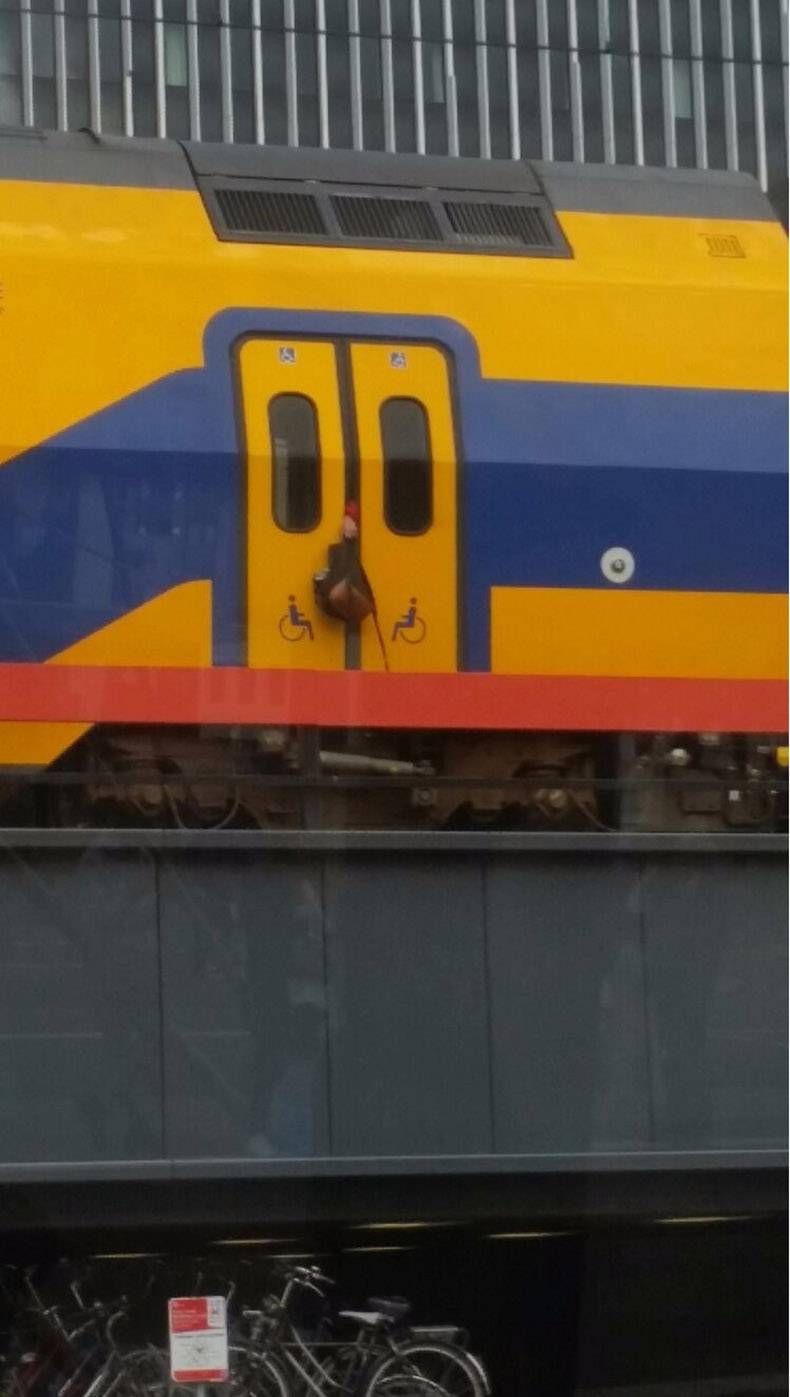 Gewoon een verzameling hilarische foto's #863