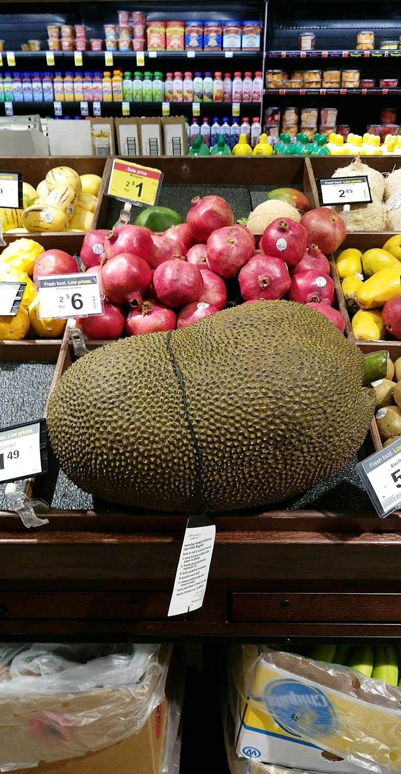 Gewoon een verzameling hilarische foto’s #858