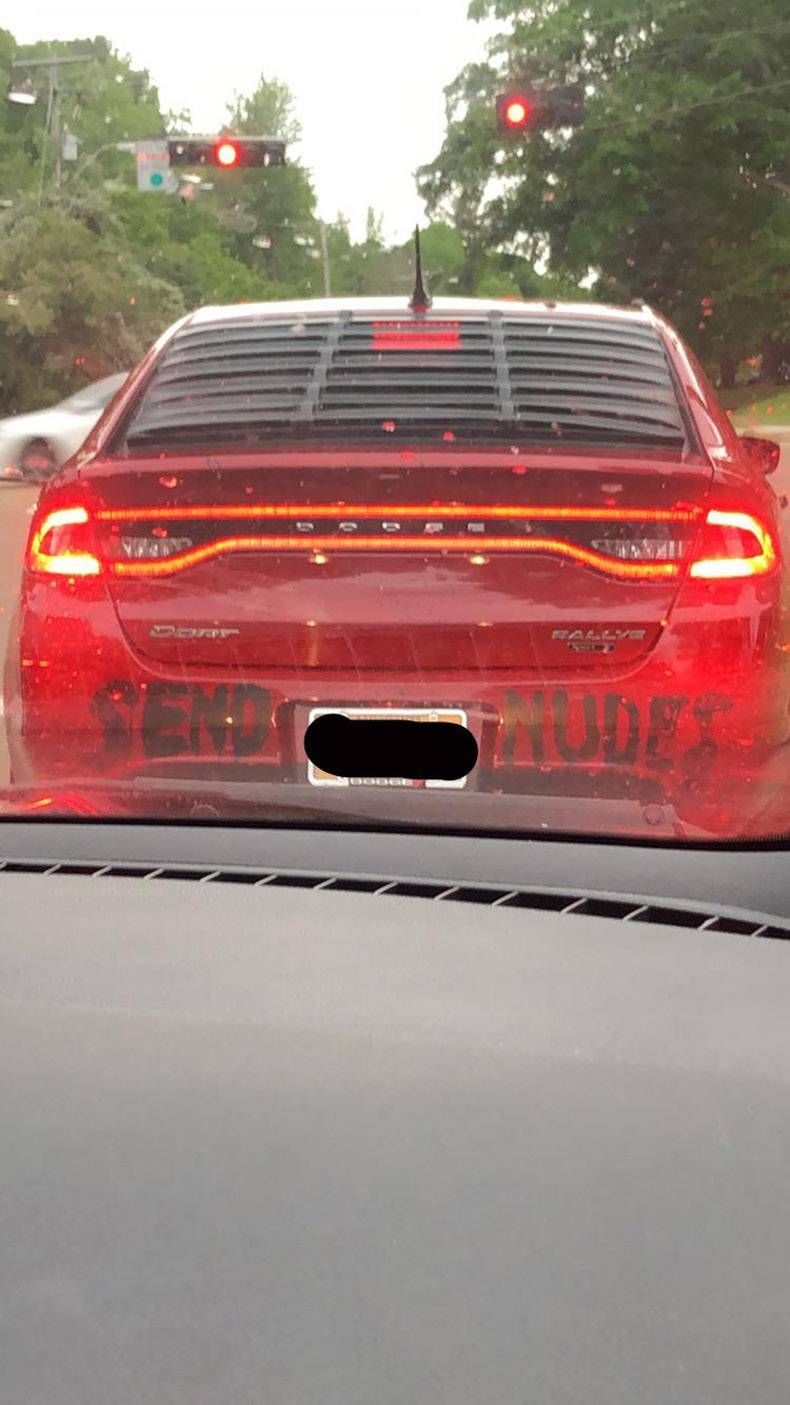 Gewoon een verzameling hilarische foto's #1265