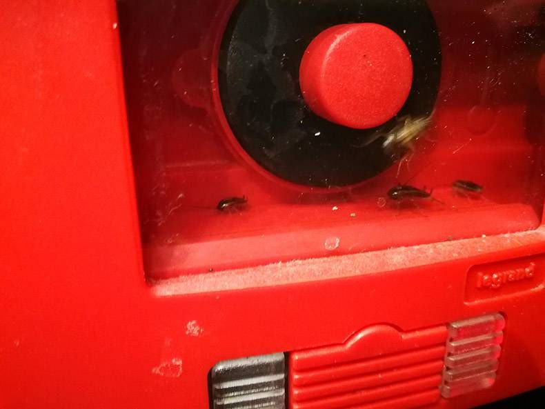 Gewoon een verzameling hilarische foto's #1222