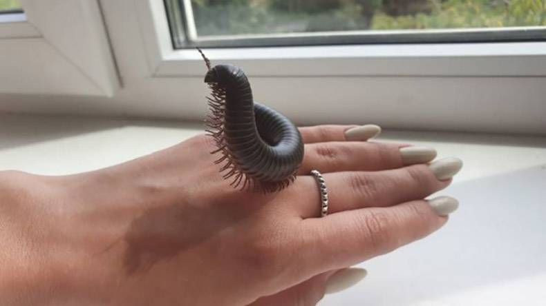 Gewoon een verzameling hilarische foto's #1152