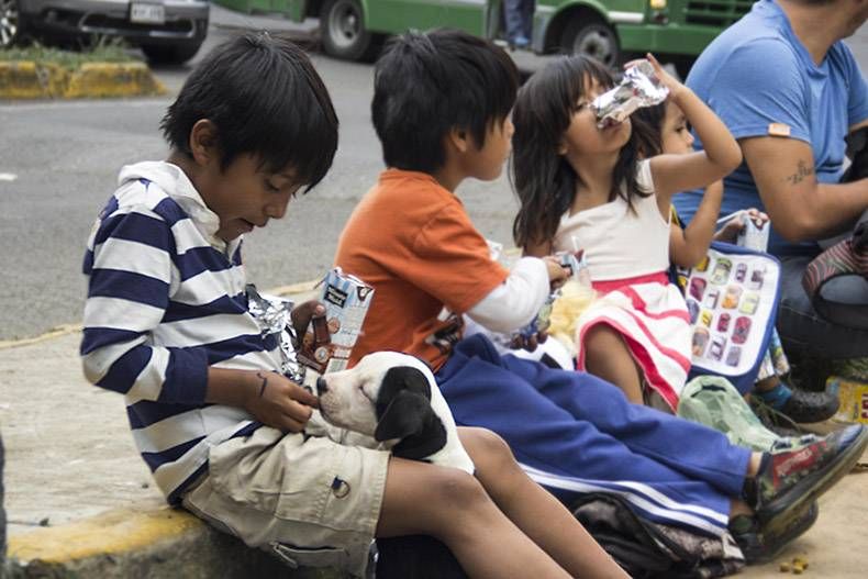 Gewoon een verzameling hilarische foto's #871