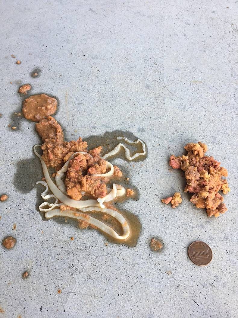 Gewoon een verzameling hilarische foto’s #858