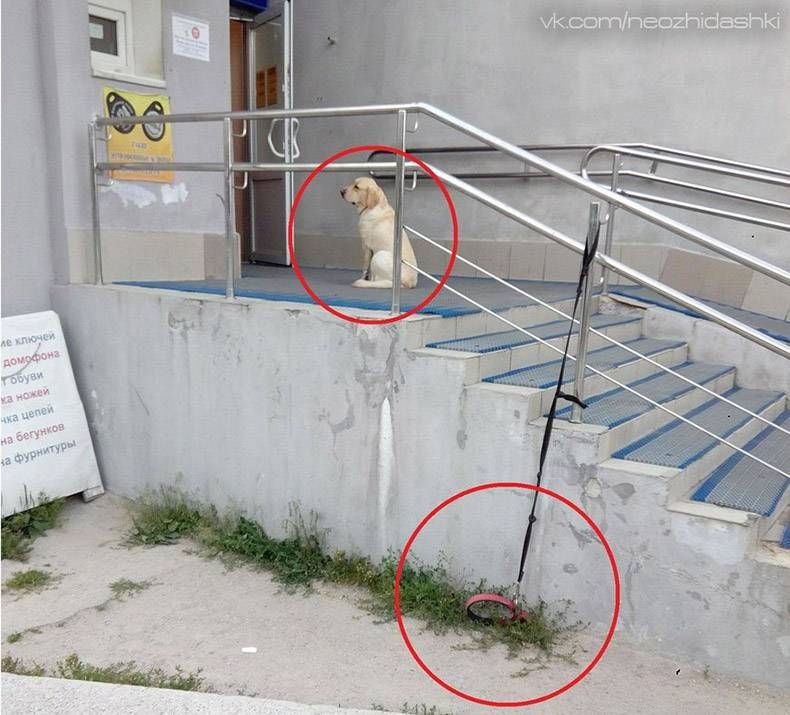 Gewoon een verzameling hilarische foto's #852