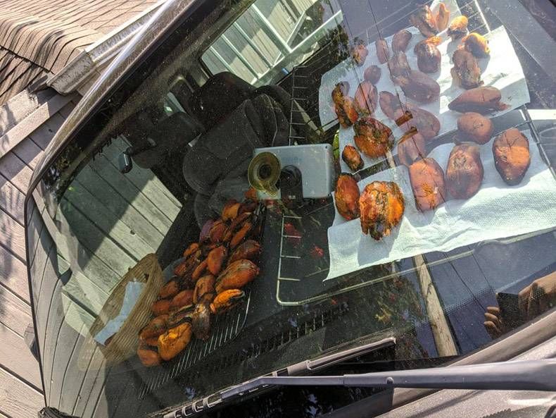 Gewoon een verzameling hilarische foto’s #1326