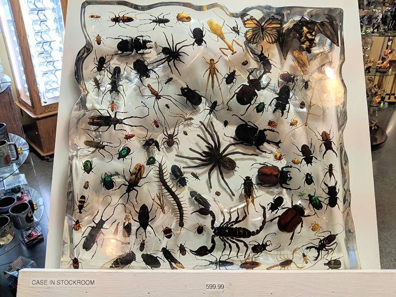 Gewoon een verzameling hilarische foto's #1252