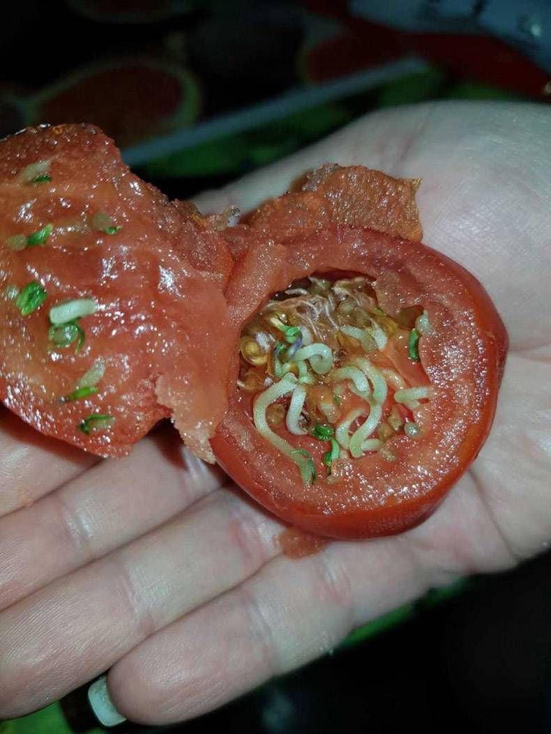 Gewoon een verzameling hilarische foto's #1240