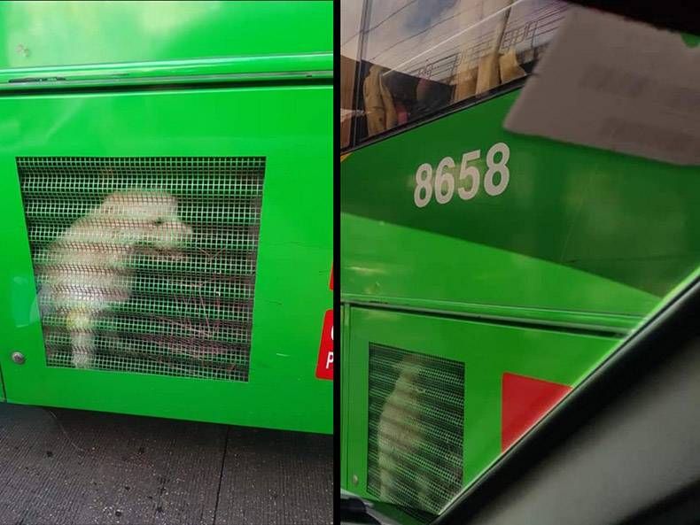 Gewoon een verzameling hilarische foto's #1199