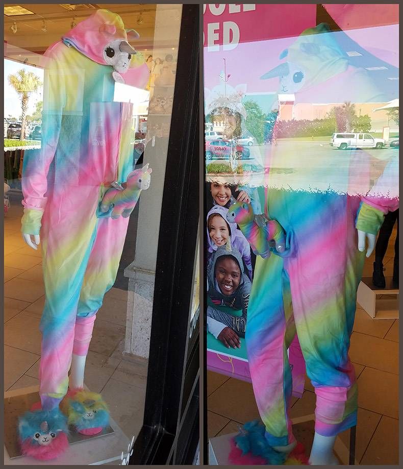 Gewoon een verzameling hilarische foto's #1037