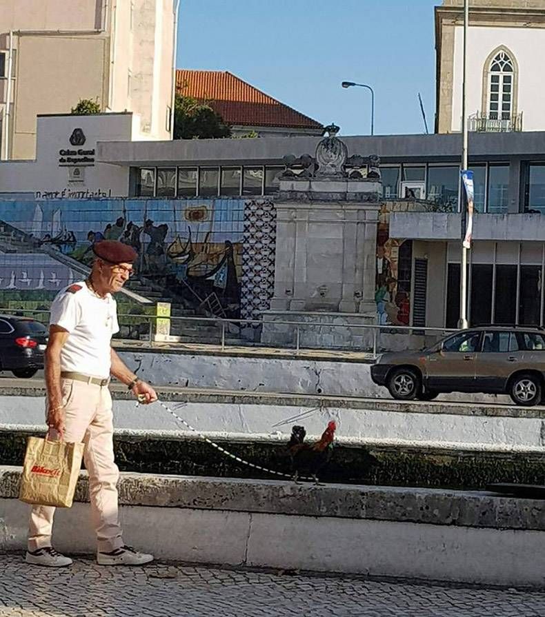 Gewoon een verzameling hilarische foto's #862