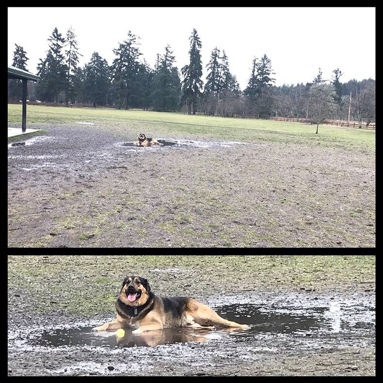 Gewoon een verzameling hilarische foto's #778