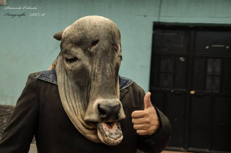 Gewoon een verzameling hilarische foto's #750