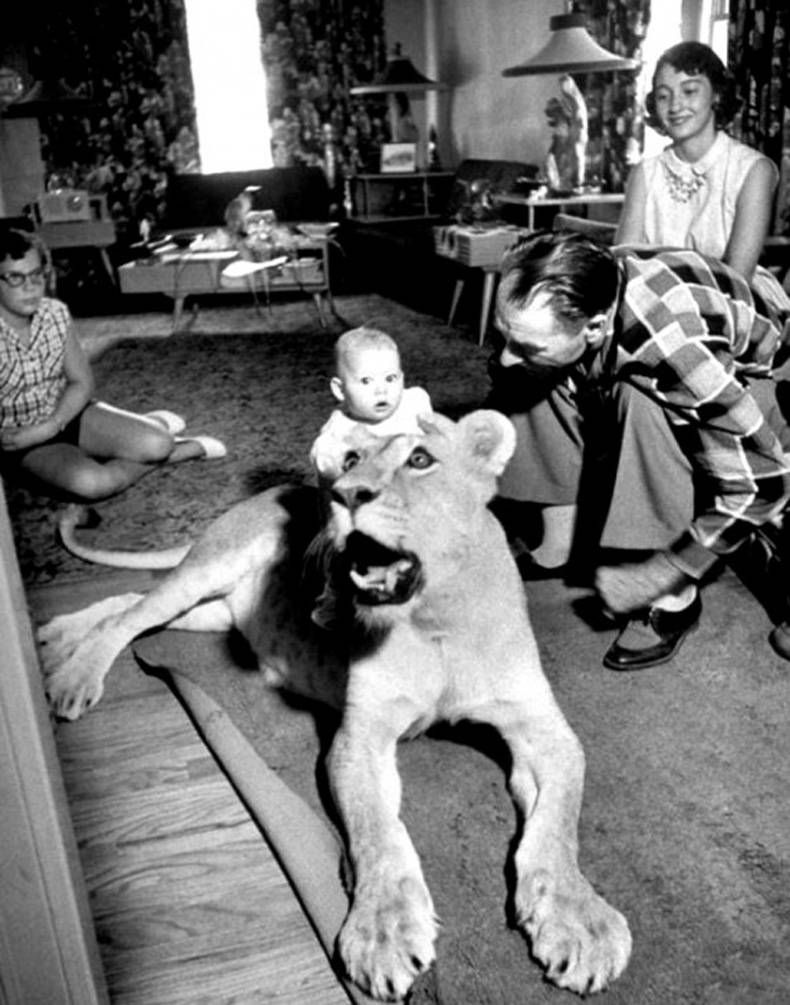Gewoon een verzameling hilarische foto's #714