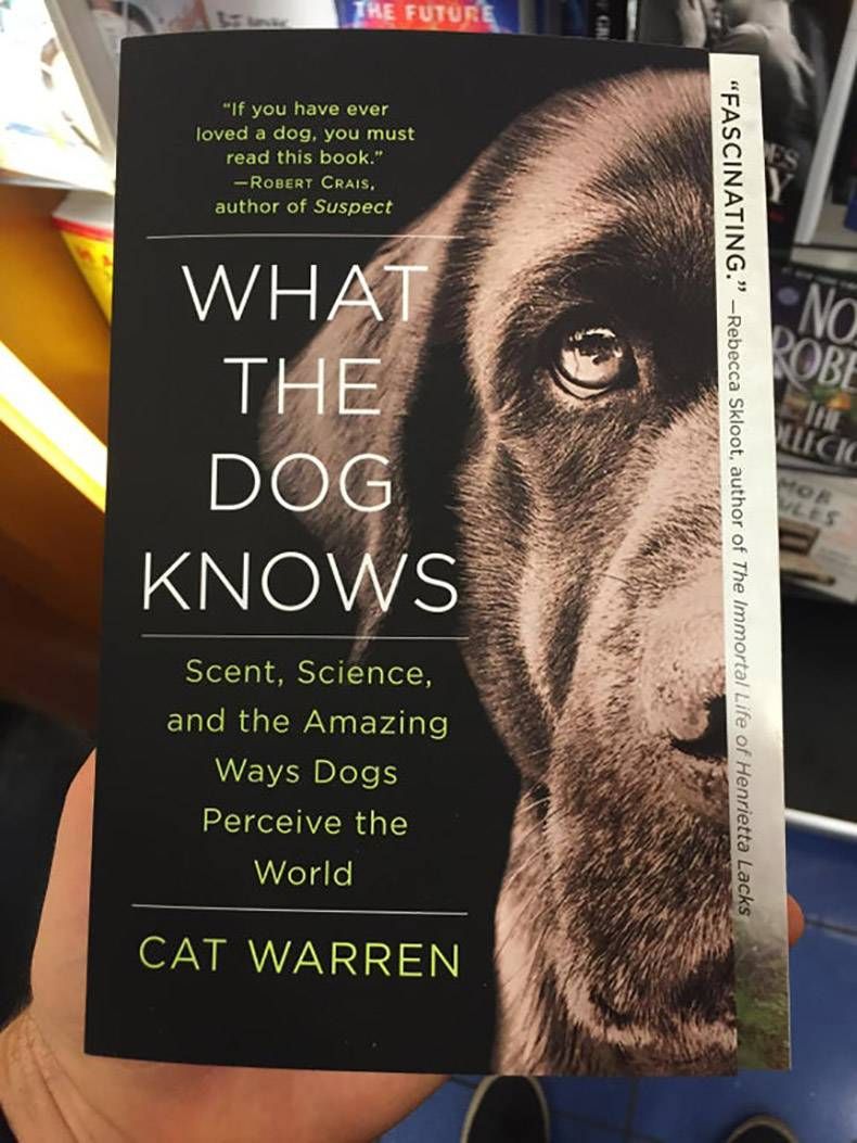 Gewoon een verzameling hilarische foto’s #1364