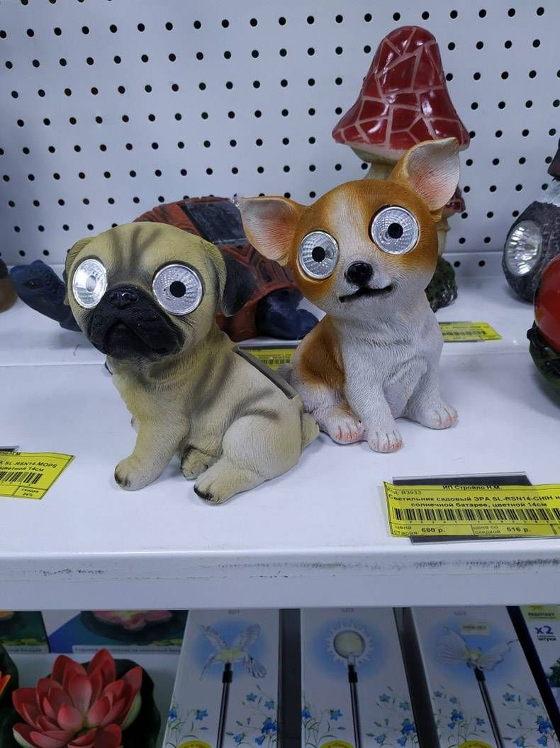 Gewoon een verzameling hilarische foto's #1294