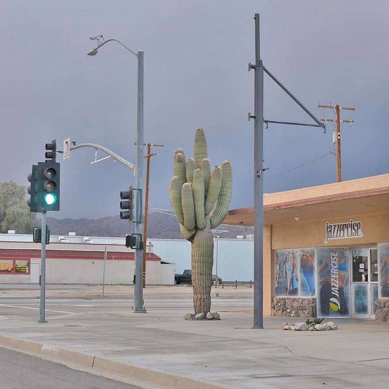 Gewoon een verzameling hilarische foto's #1287