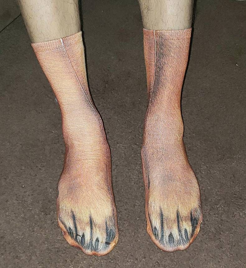 Gewoon een verzameling hilarische foto's #1178