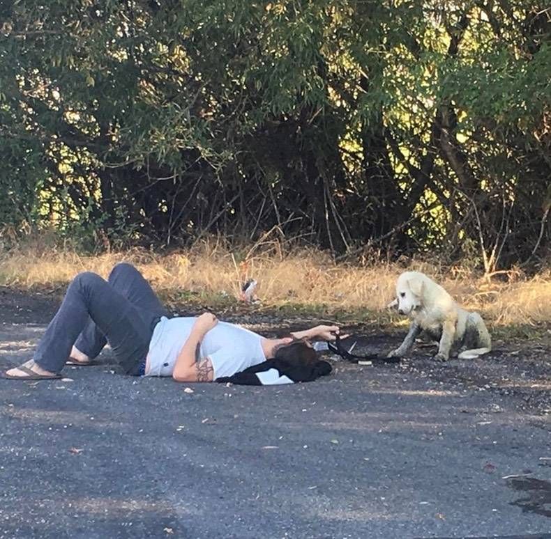 Gewoon een verzameling hilarische foto's #1129