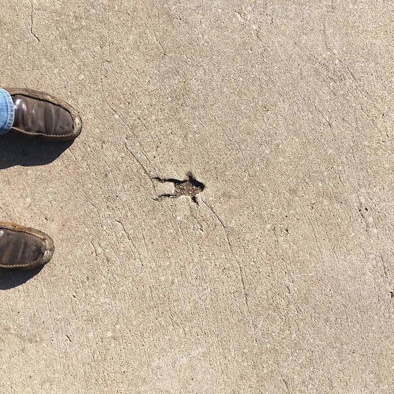 Gewoon een verzameling hilarische foto's #1088