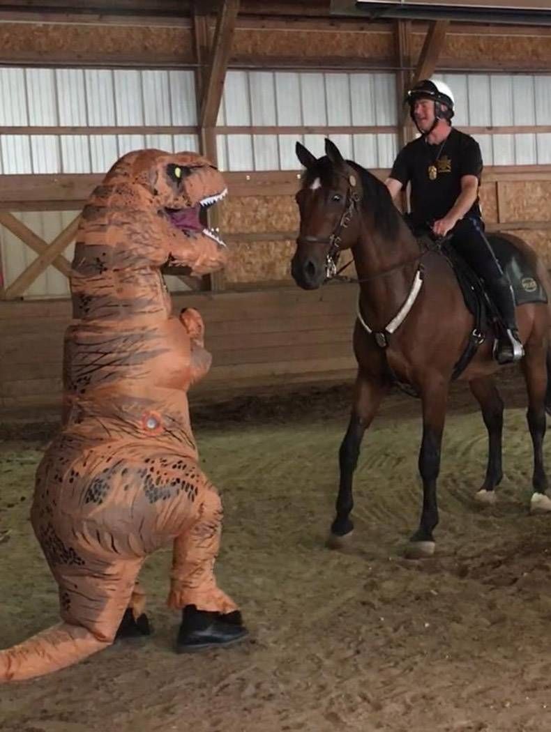 Gewoon een verzameling hilarische foto's #1037