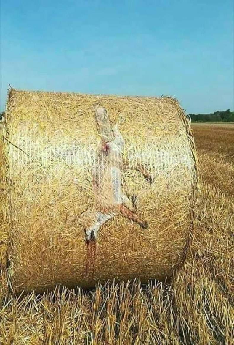 Gewoon een verzameling hilarische foto's #862