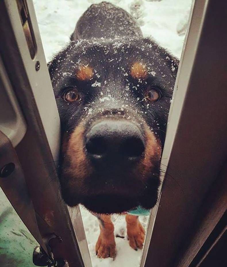 Gewoon een verzameling hilarische foto's #772