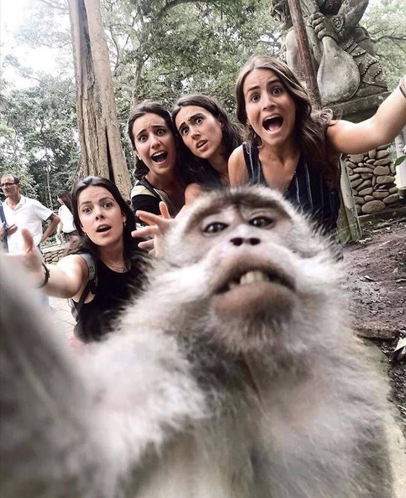 Gewoon een verzameling hilarische foto's #1345